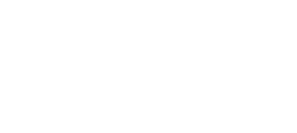 Sun Cruiser